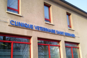 Atelier-Enseignes-Bandeau-Lettres-et-Tube-HT-Clinique-Veterinaire-Metz-Strasbourg-57