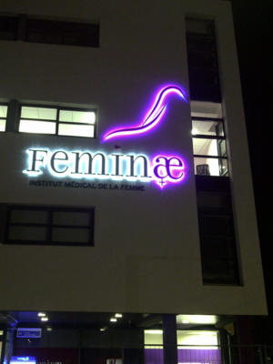 Atelier-Enseignes-Lettres-metal-retroeclairage-leds-Feminae-Metz-57